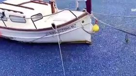 VIDEO Invazie de meduze albastre într-un port spaniol. Oamenii au fost uimiți să vadă apa într-un albastru intens
